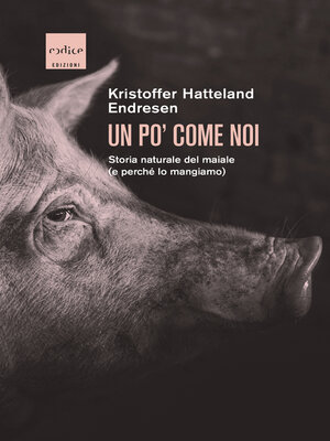 cover image of Un po' come noi